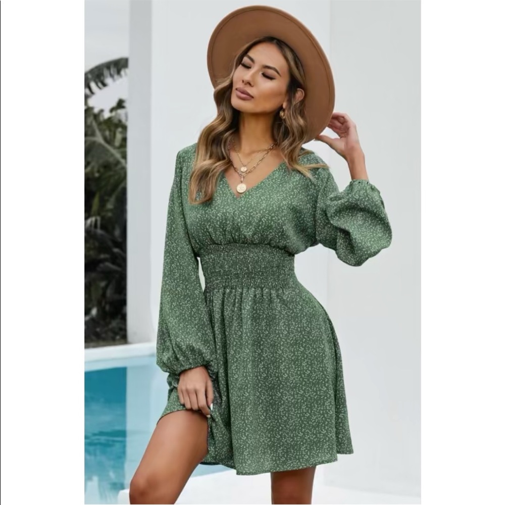 Balloon Sleeve Dress